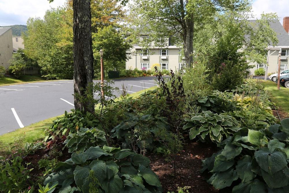 Silver Fox Inn Waterville Valley Exterior photo